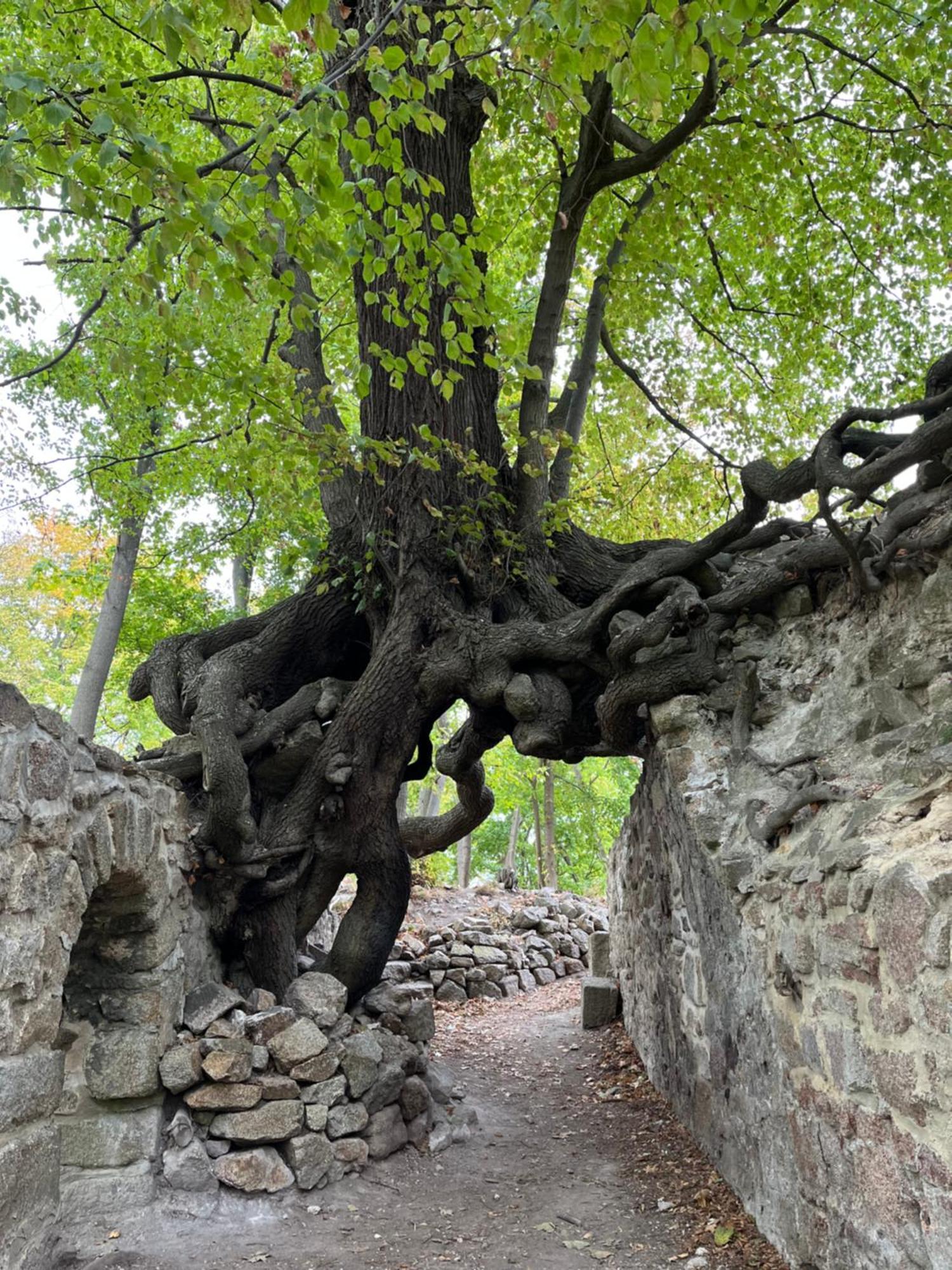Villa "Kleinstes Haus Von Blankenburg" Urlaub In Einem Einzigartigen Baudenkmal à Blankenburg  Extérieur photo